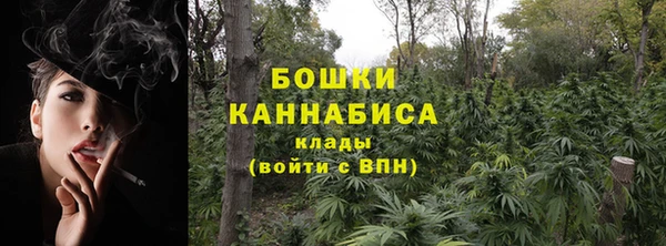 PSILOCYBIN Алексеевка